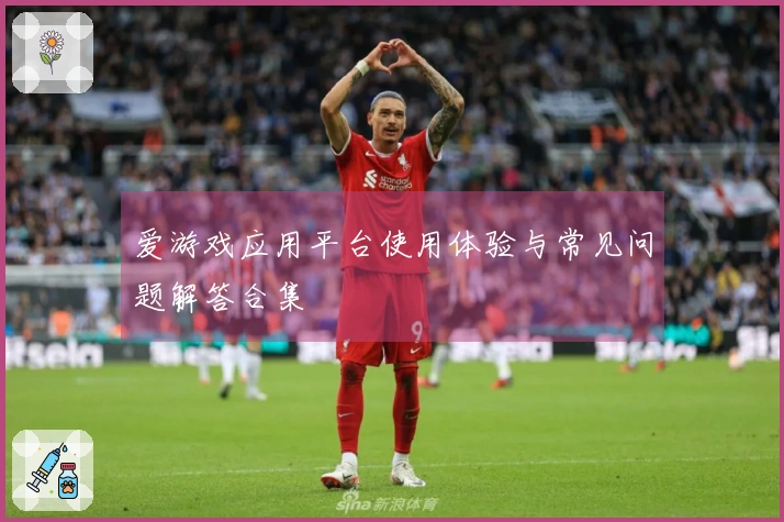 爱游戏应用平台使用体验与常见问题解答合集